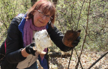 Organizuje terénní programy pro děti i seniory. Získá Eva Zatloukalová krajské ocenění?