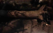 Stromy na silnicích i zatopené auto. Hasiči zasahují po bouřce