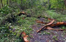 Bouřky poničily přírodní rezervaci Žebračka. Hrozí pády stromů