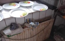 Hmyz, myší trus a špatný úklid. Restaurace u Nákla byla zavřená 10 dní