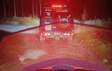 Ztracený houbař, zraněná seniorka. Horská služba nabádá k opatrnosti v terénu