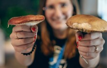 Jedlé nebo nejedlé? Vydejte se za tajemstvím hub do Pevnosti poznání