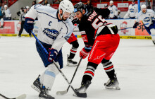 Kohouti proti hvězdné Kometě! Uspějí proti ní i podruhé?