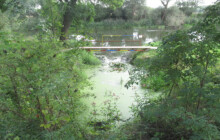 U Charvátů vznikne biotop. Pozemek získala obec od státu