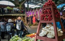 Flora Olomouc – Hortikomplex připomene společné kořeny Česka a Slovenska