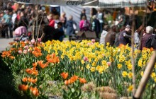 Tržby Výstaviště Flora Olomouc loni překonaly předcovidový rok 2019
