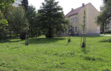 Dešťová zahrada u paneláků? Město připravuje rozsáhlý projekt