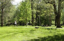 Silně opilý pár souložil za bílého dne v olomouckém parku. Oba aktéři skončili na záchytce