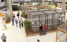 Mezinárodní přehlídka exotického ptactva EXOTA Olomouc se uskuteční v polovině října