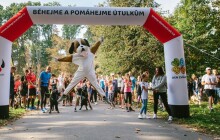 Zvířata v útulcích potřebují pomoct. Podpořte je charitativním během