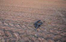 Černá hodinka na Litovelsku. Zemědělec shodil sloupy vysokého napětí