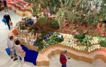 Zelináři letos očekávají stejnou úrodu jako loni, vývoj cen nelze odhadnout