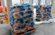 Veterinární inspektoři našli ve skladu na Olomoucku prošlé vepřové kůže