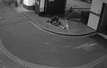 VIDEO: Policistům a jejich chvatům neutekl. Hledaný muž skončil ve vězení