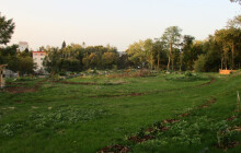 Komunitní zahrada u fakultky vzkvétá. Startovací sezonu má za sebou