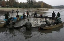 Výlov Podhradského rybníka se odkládá, kvůli vysokým teplotám 