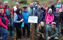 "Zeleným nahoru." Studenti a úředníci vysadili tři tisíce stromů