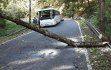 Do kraje se žene silný vítr. Meteorologové vydali výstrahu