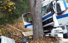 Kamion narazil do stromu, převážel baterie. Z nákladu unikla kyselina sírová