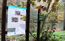 Přerov musí opravit hráz rybníka na Svrčově, je v havarijním stavu