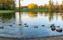 Pozor na koupání ve Velké Laguně. Voda představuje zdravotní rizika