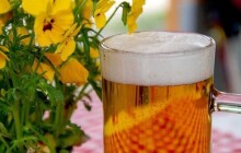 Ve čtvrtek odstartuje Festival minipivovarů, odkryje svět sládků a přinese hudební program