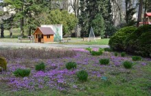 Jarem probouzející se botanická zahrada se v úterý otevře návštěvníkům