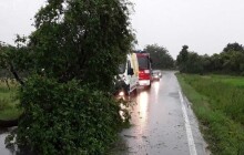 Popadané stromy na silnicích, zatopené garáže a utržené střechy. Silné bouřky v kraji zaměstnávaly hasiče