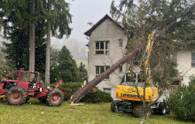 VIDEO: Hasiči zasahovali u jesenické školy. Spadl na ni strom