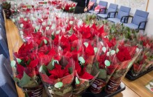 Vánoční hvězdy pomáhají Šanci Olomouc. Zapojil se i Olomoucký kraj