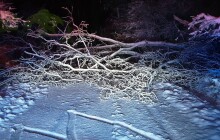 Hasiči mají přes 120 výjezdů. Hasiči zasahují nepřetržitě, říká jejich mluvčí  Hošák