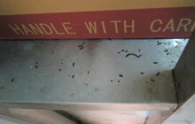 Trus hlodavců, špinavé podlahy. Inspekce zavřela restauraci ve Velkém Týnci