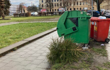 Olomoucké Stromkobraní, nebo nechat vánoční stromek u kontejneru? Možností je víc
