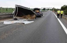 Koně se rozutekli poté, co se s nimi převrátil přívěs