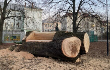 Lavičku vyrobili ze 150 let starého jasanu. Teď ji můžete vyzkoušet v Čechových sadech