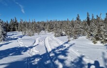 Trojice motorkářů projela hřebeny Jeseníků. Spolek obviňuje CHKO ze špatné ochrany přírody
