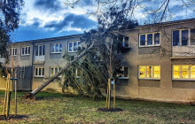 Highlighty týdne: Pád stromu na školku a tajemné olomoucké uličky