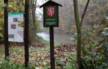 Bobr na Svrčově poškozuje stromy. Přerovu způsobil škody za desítky tisíc korun