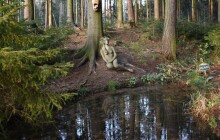 Tip na výlet: Víla ukrytá v lesích. Najděte Pilávku