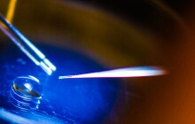 Páry na Olomoucku stále častěji odkládají početí potomka, v pozdějším věku je však trápí neplodnost