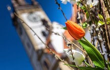 Velikonoce v Olomouci zvou na jarmark i bohatý kulturní program