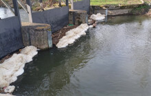 Pěna na hladině Moravy. CHKO řeší havarijní znečištění