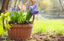 Na Velikonoce do zoo. Co na Svatém Kopečku chystají?