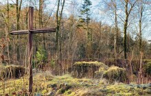 Tip na výlet: Cesta ke zřícenině Kartouzského kláštera v Dolanech 