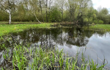 Do rezervace v holínkách. Plané loučky zatopila voda