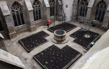 Do muzea bez vstupného. MUO chystá akci k inauguraci nového arcibiskupa