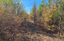 Zvýšené riziko požáru. Lesníci upozorňují na zákaz rozdělávání ohně