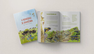 V remízku je divočina. Vyšla nová knížka Jiřího Beneše