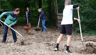 Kanceláře vyměnili za nářadí a pomáhali v olomoucké zoo