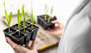 Češi zkoumají pěstování plodin ve vesmíru. Olomoučtí vědci vyšlou na ISS bioreaktor